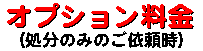 �I�v�V��������